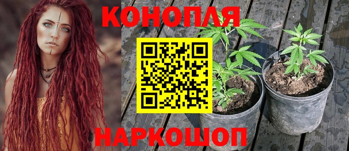 Каннабис Bruce Banner  Канабис VHQ  Моршанск  Марихуана индика  Вход с VPN 